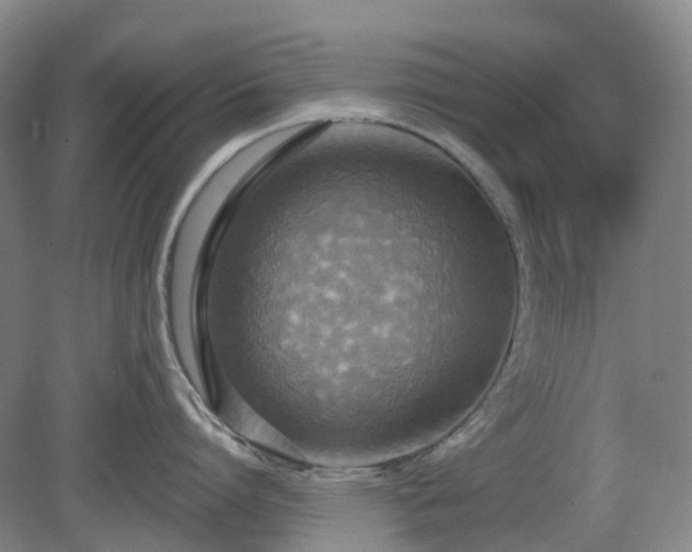 X0000081280864200701181741