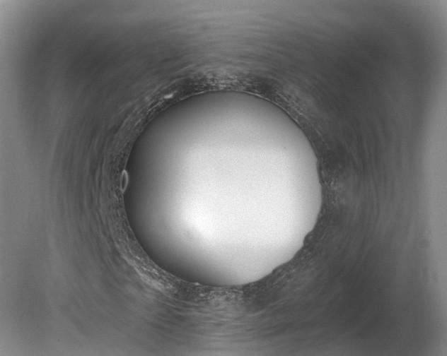 X0000081280865200701181740