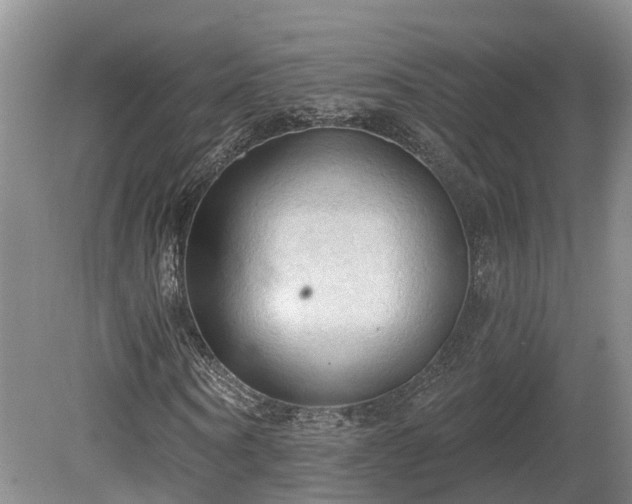 X0000081280866200701181740