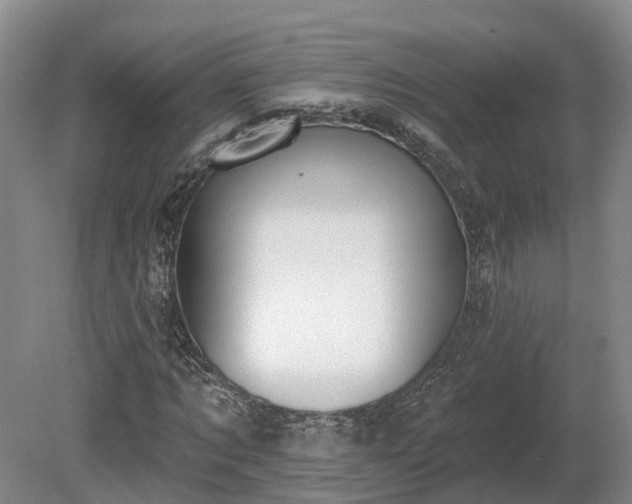 X0000081280869200701181740