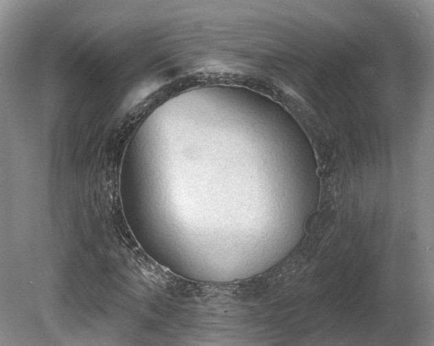 X0000081280870200701181740