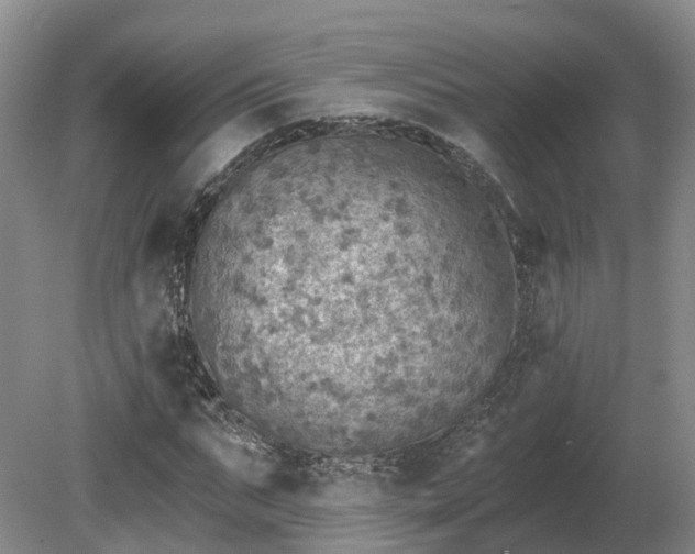 X0000081280871200701181740