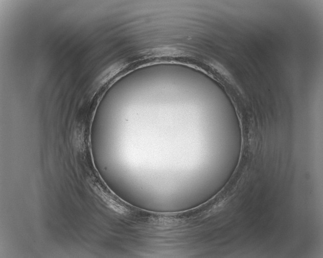 X0000081280873200701181740