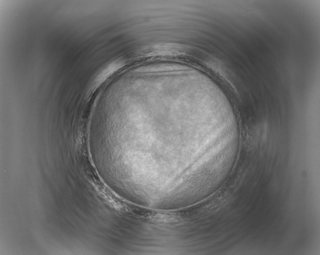 X0000081280874200701181740