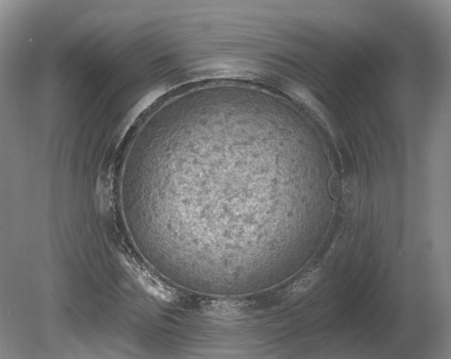 X0000081280875200701181740