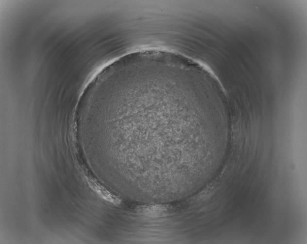 X0000081280879200701181740