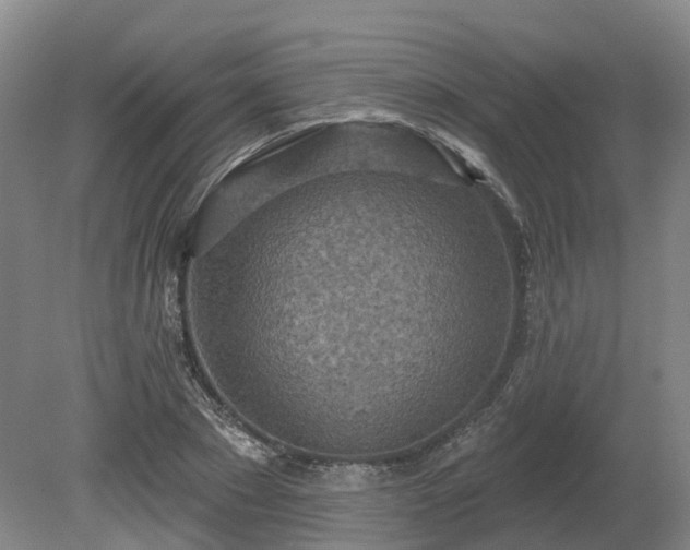 X0000081280881200701181740