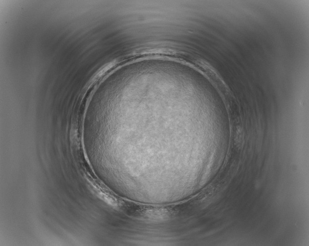 X0000081280882200701181740