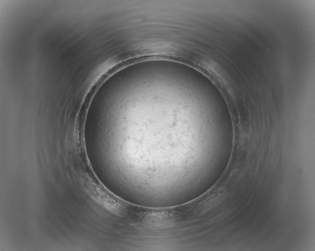 X0000081280883200701181740