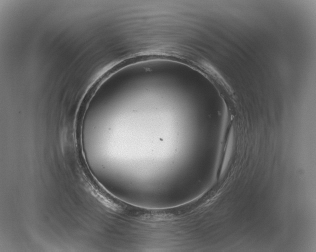 X0000081280884200701181740