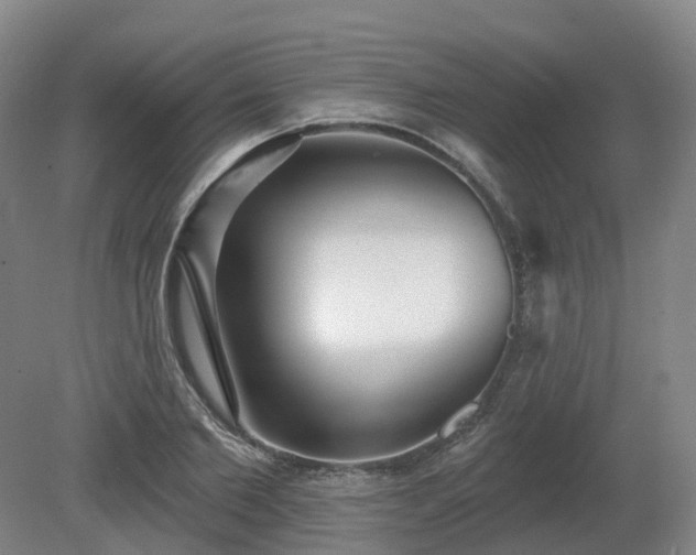 X0000081280885200701181740