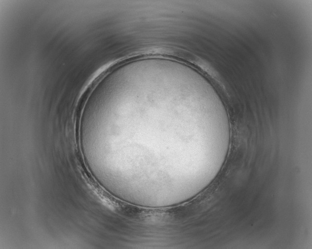 X0000081280886200701181740