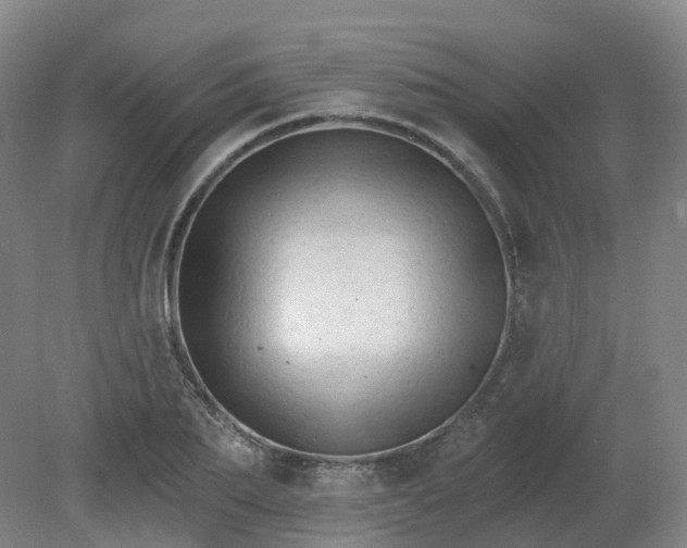 X0000081280887200701181740