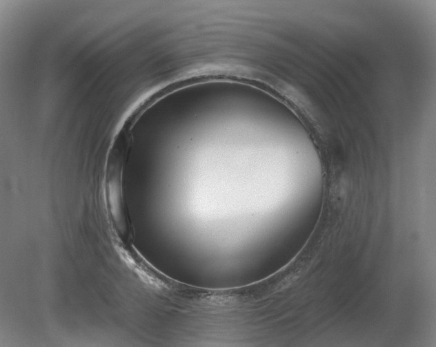 X0000081280888200701181740