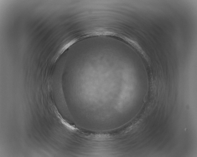 X0000081280889200701181740