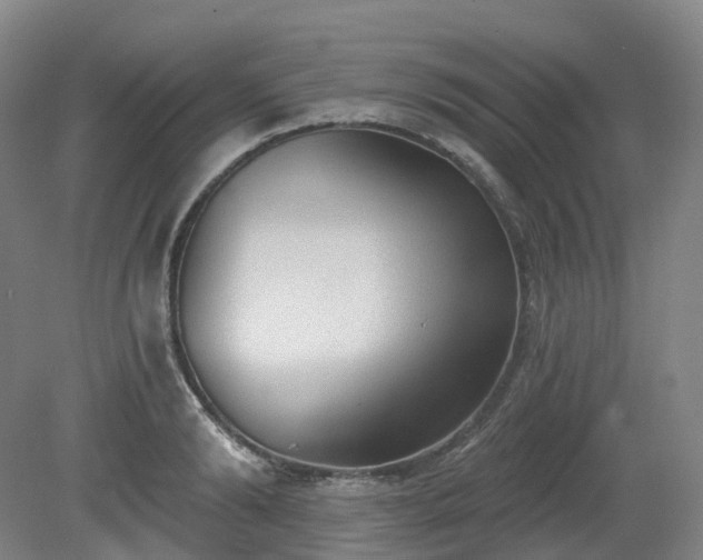 X0000081280894200701181740