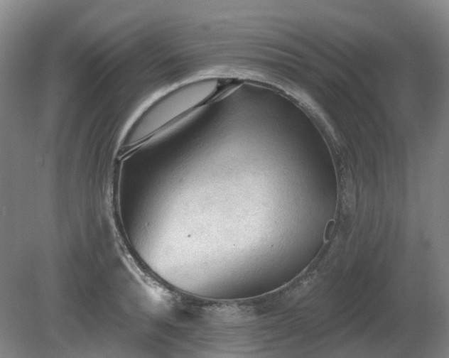 X0000081280896200701181740