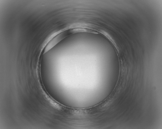 X0000081280901200701181740