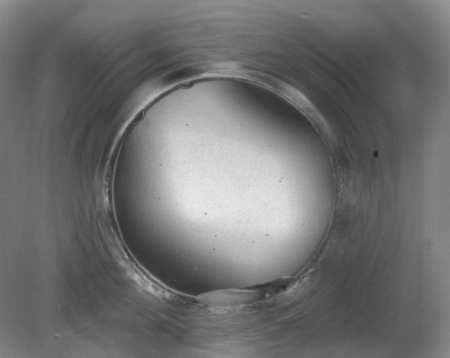 X0000081280908200701181740