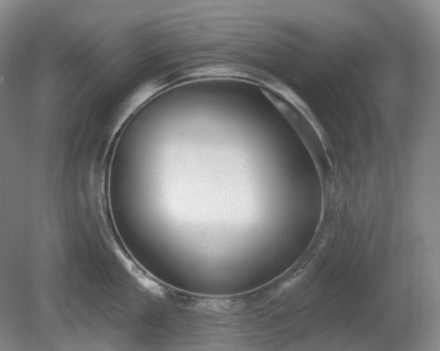 X0000081280909200701181740