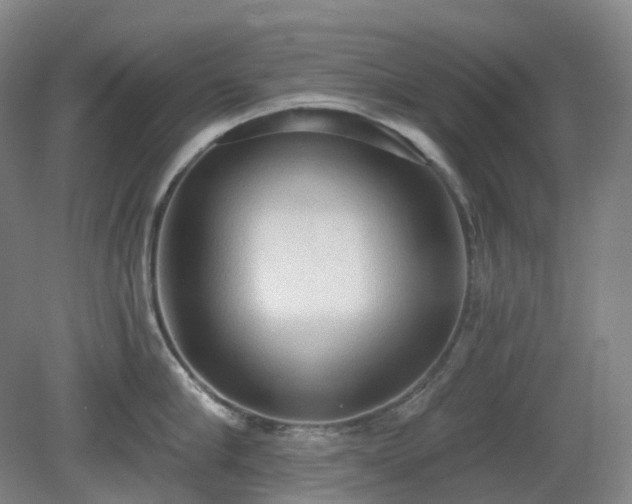 X0000081280910200701181740