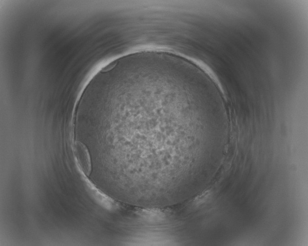 X0000081280911200701181740