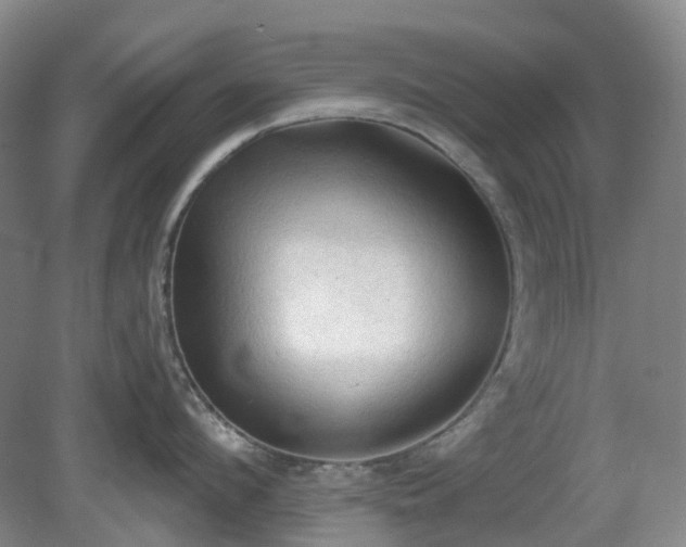 X0000081280912200701181739