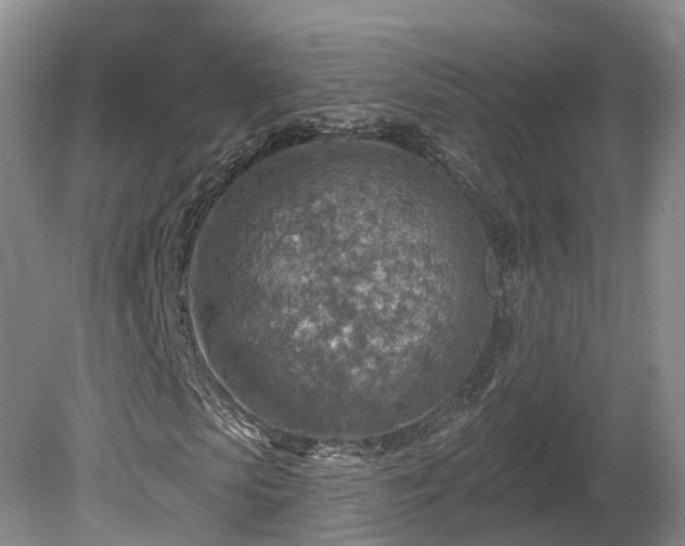 X0000081280913200701181739