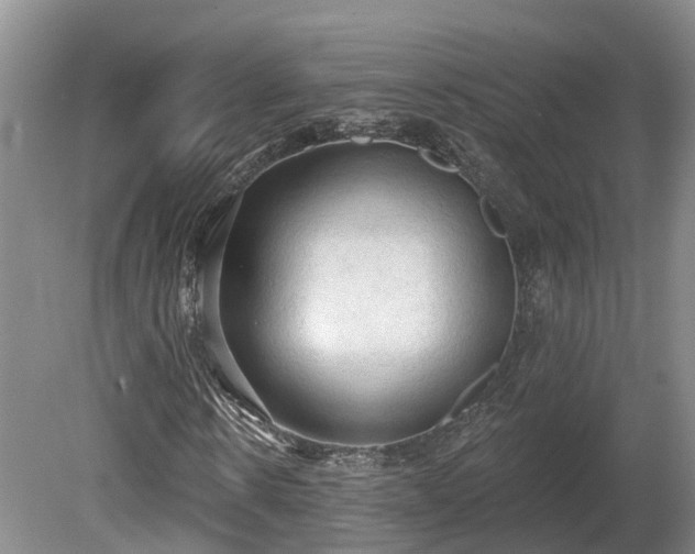X0000081280914200701181739