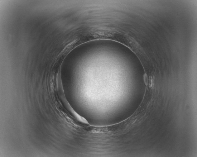 X0000081280915200701181739