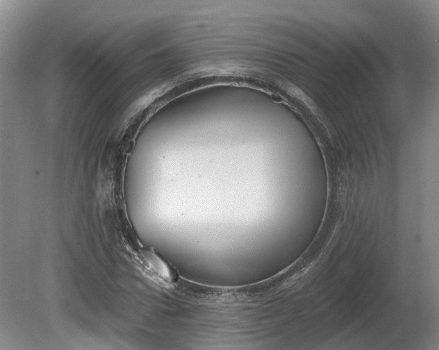 X0000081280922200701181739