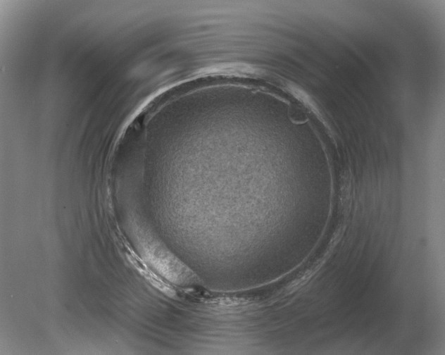 X0000081280923200701181739