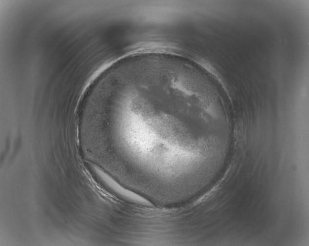 X0000081280925200701181739