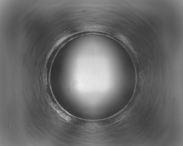 X0000081280931200701181739