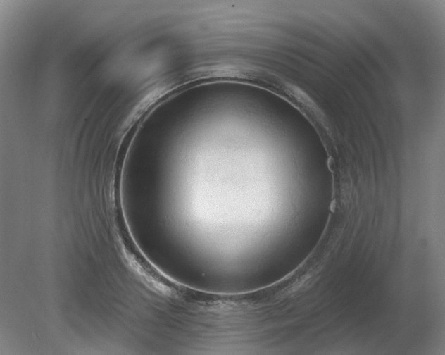 X0000081280938200701181739