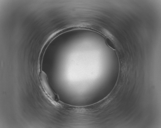 X0000081280940200701181739