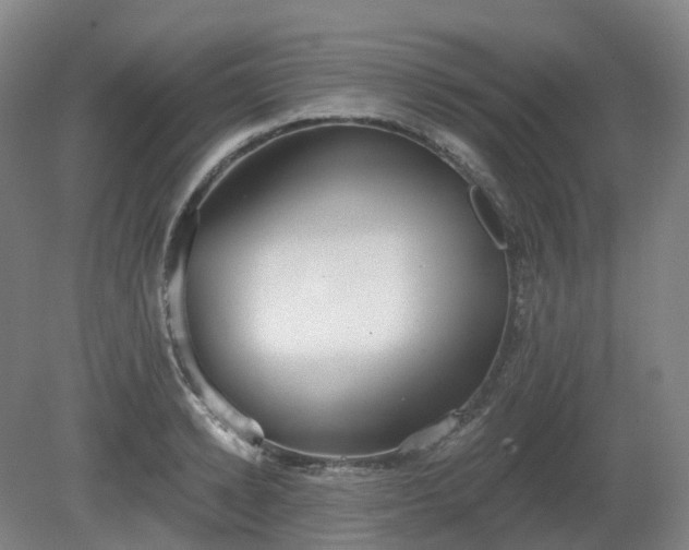 X0000081280942200701181739