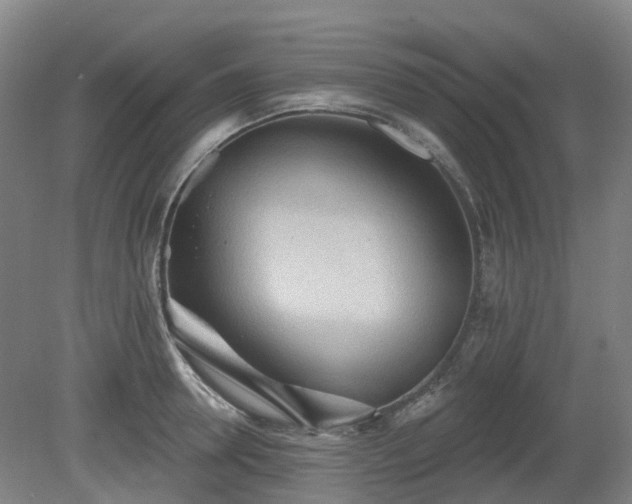 X0000081280946200701181739