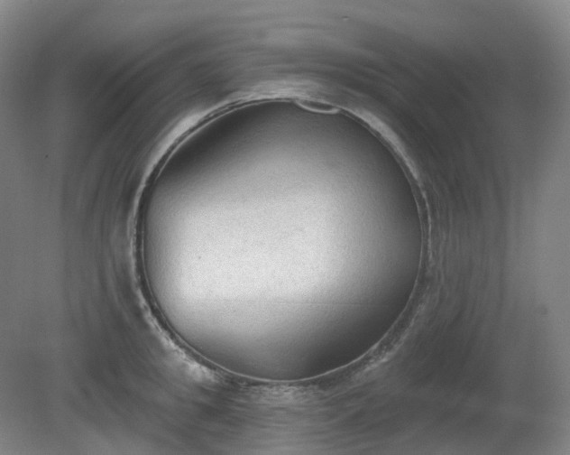 X0000081280949200701181739