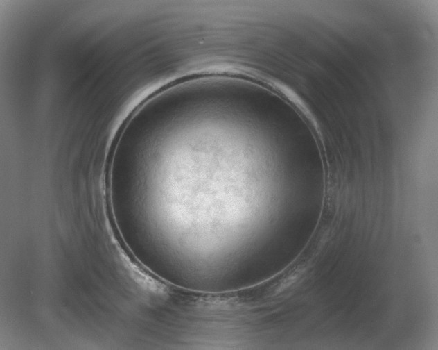 X0000081280951200701181739