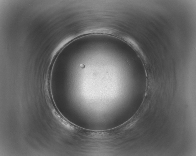 X0000081280952200701181739