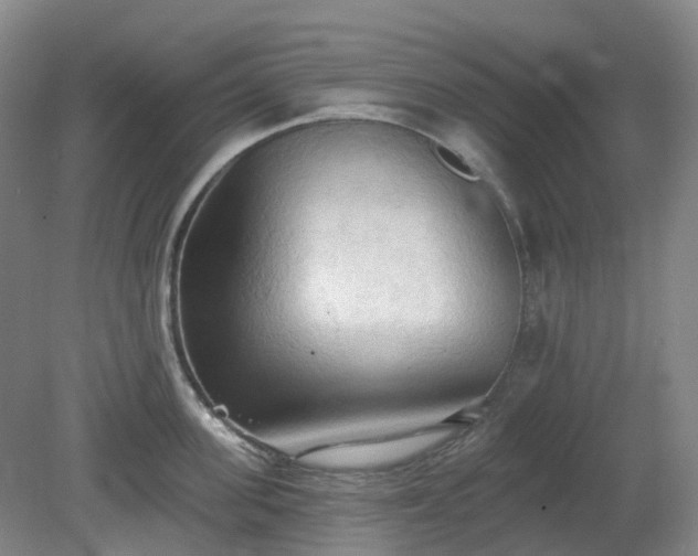X0000081280955200701181739