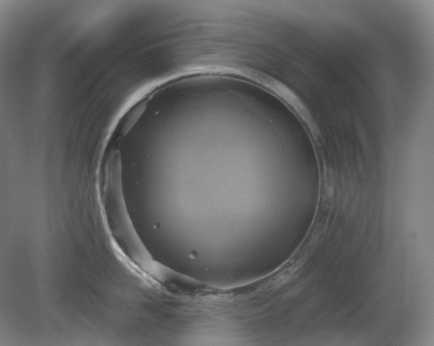 X0000081280958200701181739