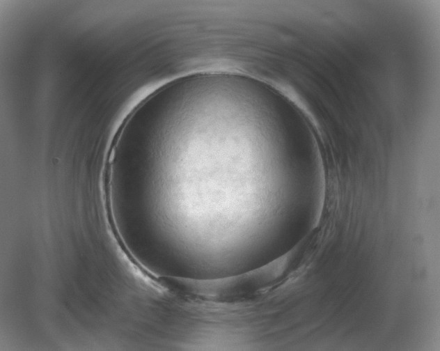 X0000081280959200701181739