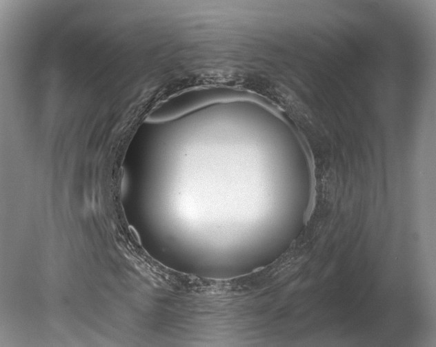 X0000081280961200701181739