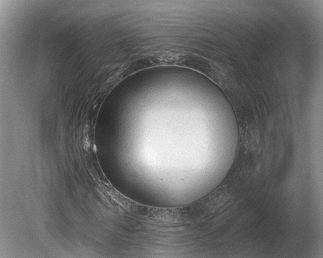 X0000081280962200701181739