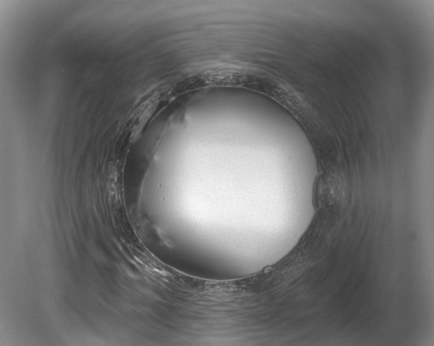 X0000081280964200701181739