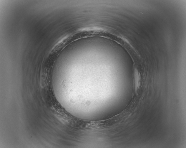 X0000081280967200701181739