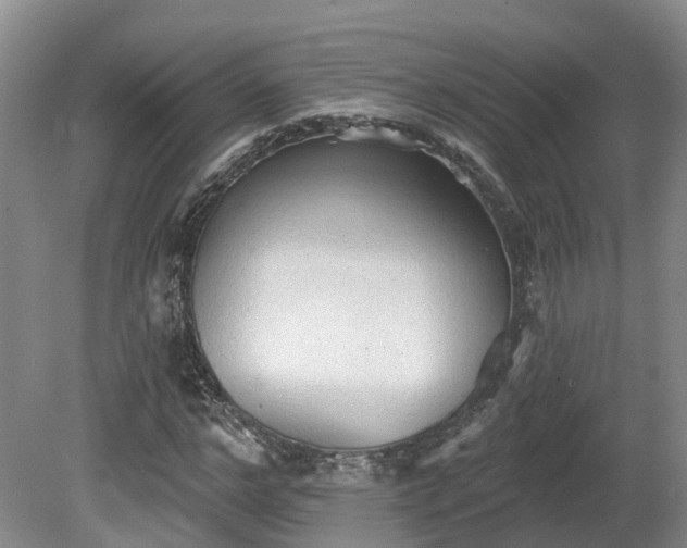 X0000081280968200701181739