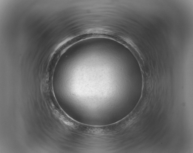 X0000081280971200701181738